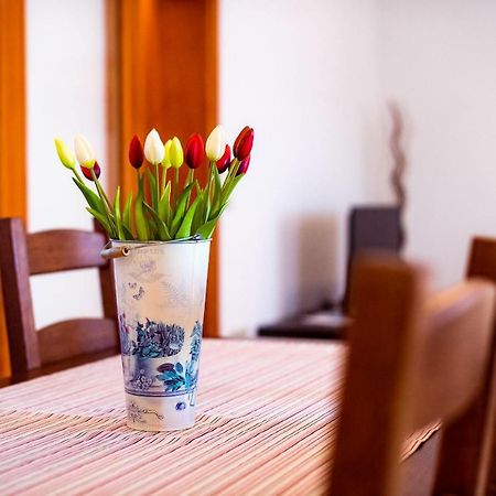 Apartmani Marina Klek Exteriér fotografie