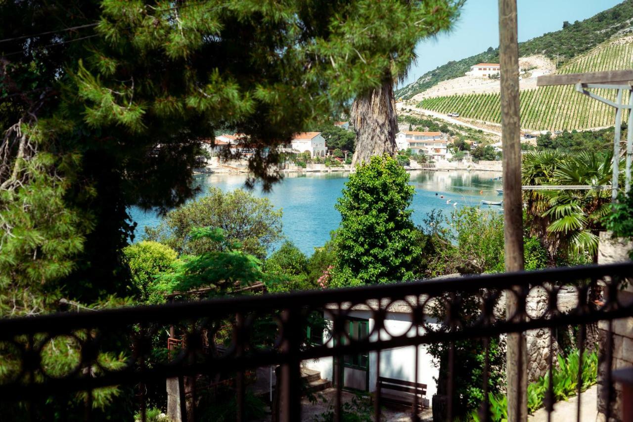 Apartmani Marina Klek Exteriér fotografie